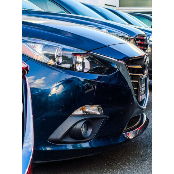 Container Survey/Inspection